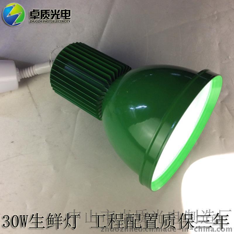 厂家直销 20W30W50W生鲜灯 超市水果蔬菜水产海鲜灯 商场猪肉灯