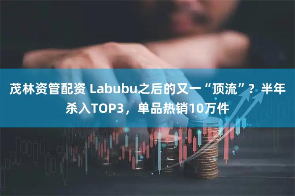 茂林资管配资 Labubu之后的又一“顶流”?半年杀入TOP3,单品热销10万件