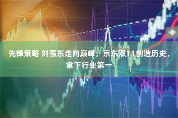 先锋策略 刘强东走向巅峰，京东双11创造历史，拿下行业第一
