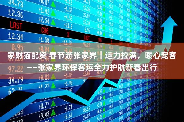 家财猫配资 春节游张家界｜运力拉满，暖心宠客——张家界环保客运全力护航新春出行